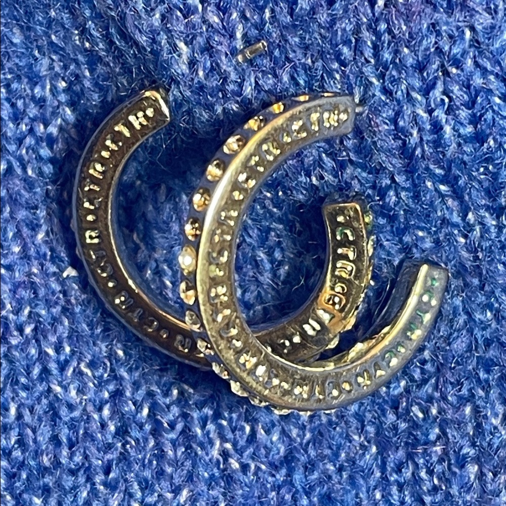 Elegant Stainless Steel hoop earrings. Post style with crystals